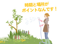 時期と場所がポイントなんです。花木に水を与える人のイラスト。